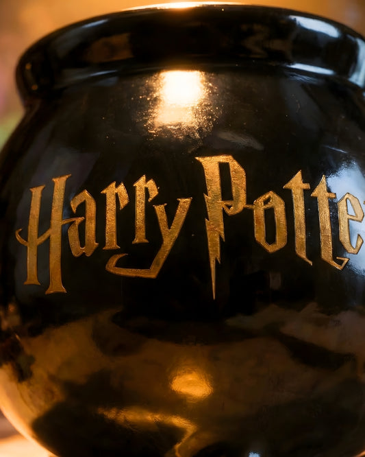 CANECA HARRY POTTER CALDEIRÃO HOGWARTS 3D PREMIUM 500ML